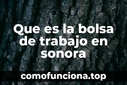 Caida de bolsa de valores que es 8 Que es la bolsa de trabajo en sonora