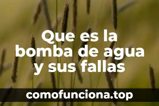 ¿Qué es el número NIS del agua? 8 Que es la bomba de agua y sus fallas