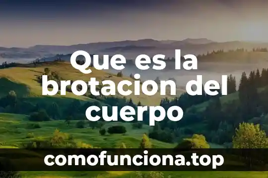 Que es la cultura de la prevención 8 Que es la brotacion del cuerpo