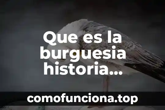 Que es universal segun fayl 7 Que es la burguesia historia universal