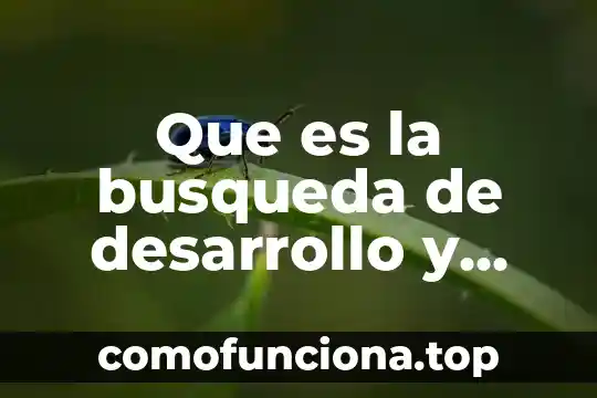 Que es la busqueda en filosofia 7 Que es la busqueda de desarrollo y seleccion de alternativas