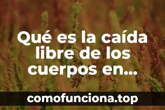Qué es la física y su significado 5 Qué es la caída libre de los cuerpos en física