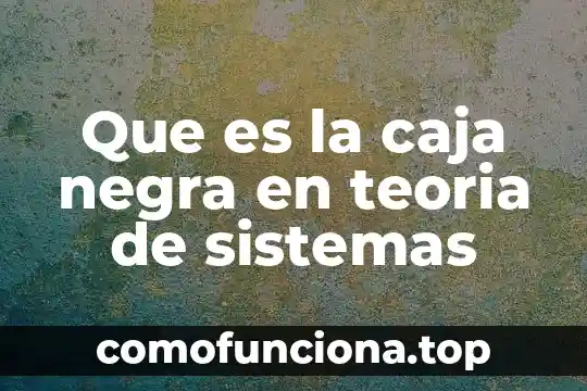 Que es y para que sirve la caja tata 8 Que es la caja negra en teoria de sistemas