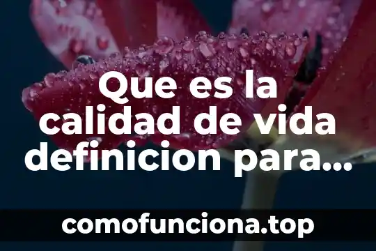 Que es el premio iberoamericano de la calidad 6 Que es la calidad de vida definicion para niños
