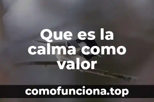 Que es un valor de la sociedad en una generacional 5 Que es la calma como valor