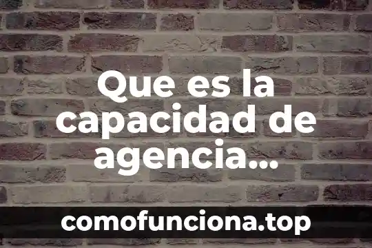 Agencia internacional de energia que es 4 Que es la capacidad de agencia definicion para nolos