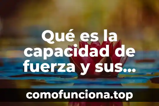 Que es fuerza directriz 5 Qué es la capacidad de fuerza y sus manifestaciones