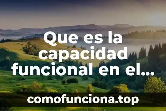 Que es teorias de la personalidad hablan del adulto 8 Que es la capacidad funcional en el adulto mayor