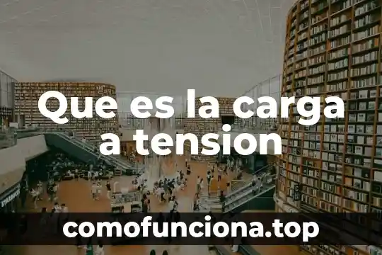 Que es el principio de cuantizacion de la carga electrica 6 Que es la carga a tension