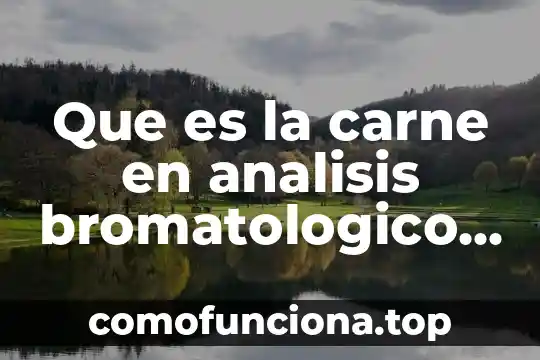 Que es un analisis a conciencia 4 Que es la carne en analisis bromatologico de los alimentos