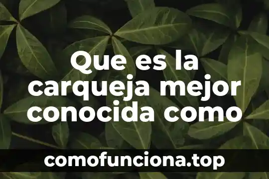 Planta autóctona que es conocida como ruda siria 3 Que es la carqueja mejor conocida como