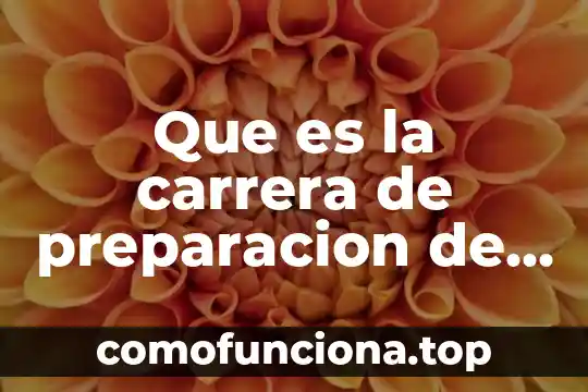 Que es la preparacion fisica y como se divide 7 Que es la carrera de preparacion de alimentos y bebidas