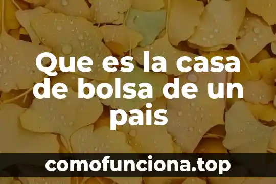 Qué es el crack de la bolsa de valores 6 Que es la casa de bolsa de un pais
