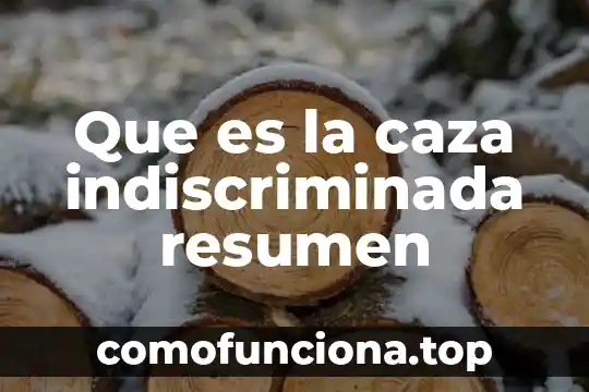 Qué es la energía electromagnética resumen 4 Que es la caza indiscriminada resumen