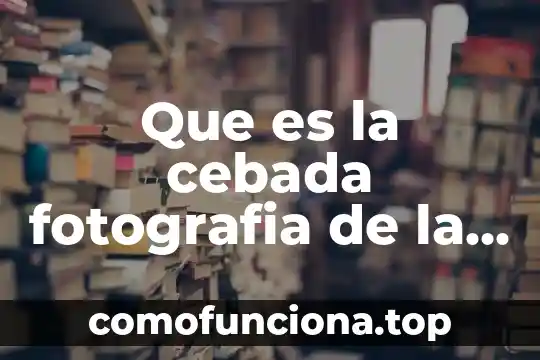 Que es un modelo atómico con movimiento 5 Que es la cebada fotografia de la planta