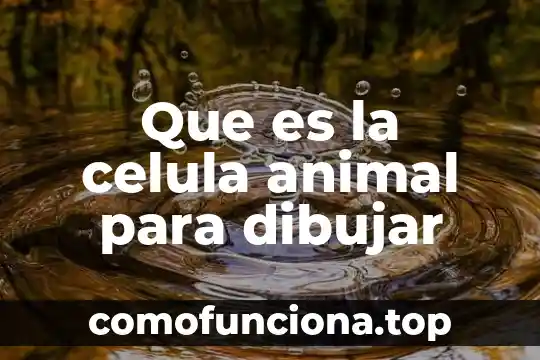 Que es un cartel movil para dibujar 6 Que es la celula animal para dibujar