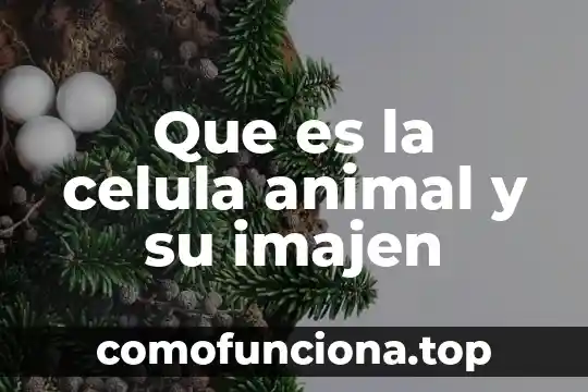 Qué es una célula UNAM 3 Que es la celula animal y su imajen