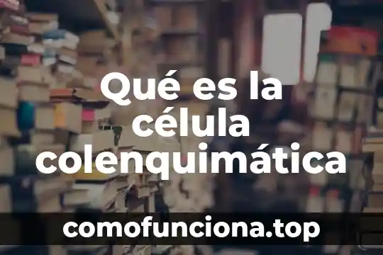 Qué es el centiolos de la célula animal 4 Qué es la célula colenquimática