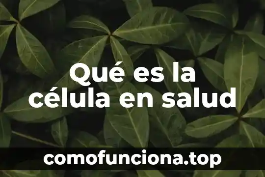 Qué es el movimiento de los objetos ejemplos 6 Qué es la célula en salud