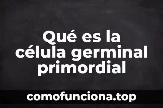 Que es la celula vejetal y la animal 3 Qué es la célula germinal primordial
