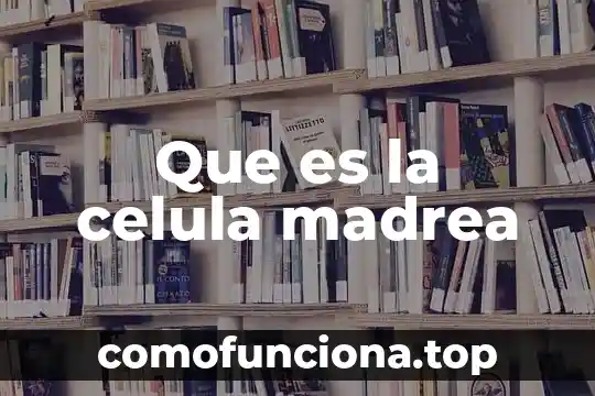 Que es el nucleolo en la celula animal 3 Que es la celula madrea
