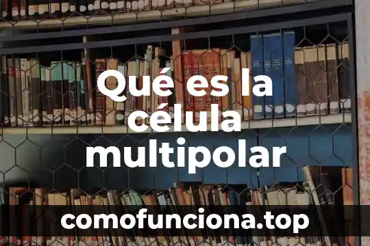 Que es ribosomas d la celula animal 8 Qué es la célula multipolar