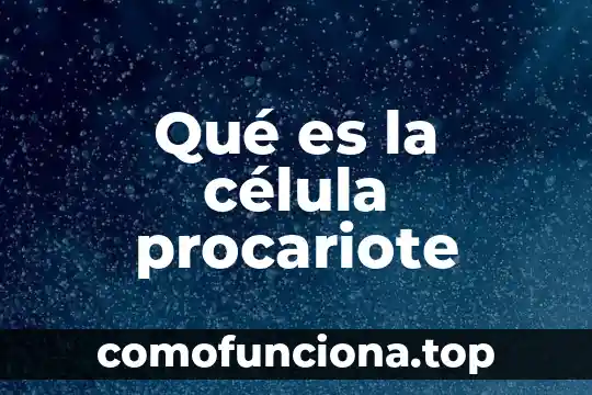 Que es el nucleolo en la celula animal 6 Qué es la célula procariote