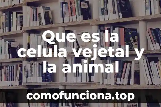 Qué es la célula germinal primordial 8 Que es la celula vejetal y la animal