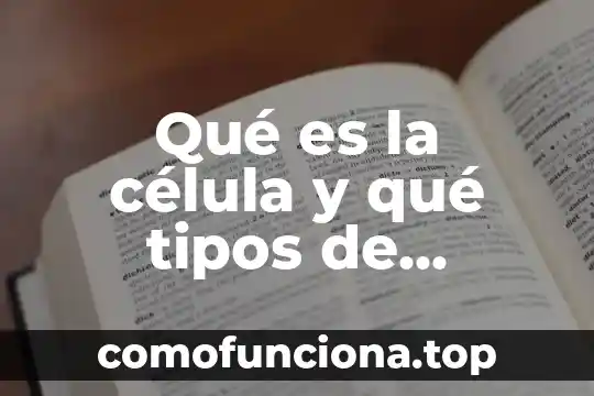 Que es una hoja electronica de calculo y nombres existen 6 Qué es la célula y qué tipos de células existen