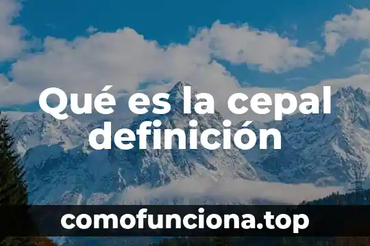 Qué es definición de lógica 4 Qué es la cepal definición