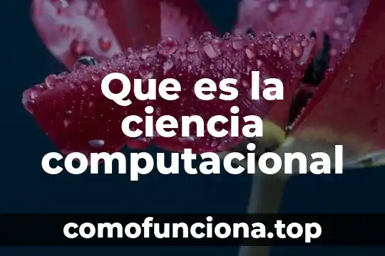 Por que es importante la ciencia en la arquitectura 4 Que es la ciencia computacional