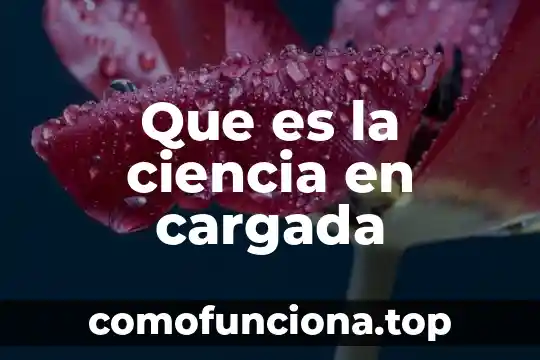 Que es ciencia sociela 4 Que es la ciencia en cargada