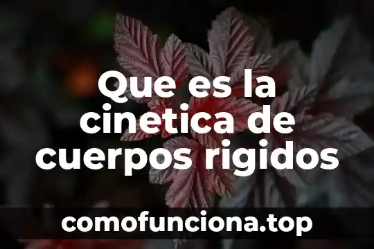 Que es astros y cuerpos 6 Que es la cinetica de cuerpos rigidos