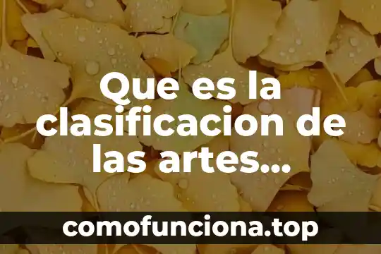 Que es tacto en las artes visuales 4 Que es la clasificacion de las artes plasticas