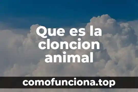 Que es enfoque basado en procesos 6 Que es la cloncion animal