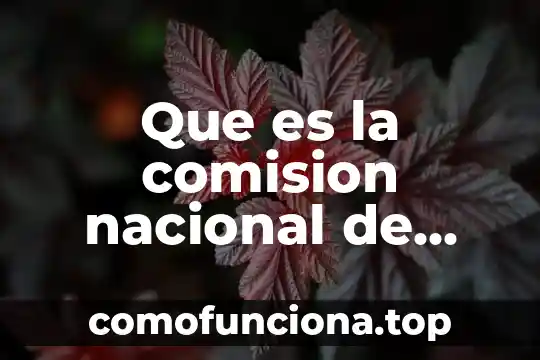 Qué es un número y una p 8 Que es la comision nacional de seguridad