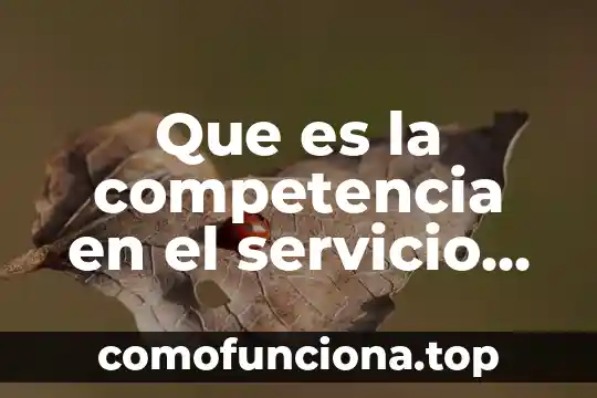 Servicio profesional de carrera que es 6 Que es la competencia en el servicio profesional