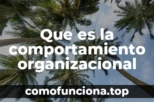 Que es estructura organizacional matricial 3 Que es la comportamiento organizacional
