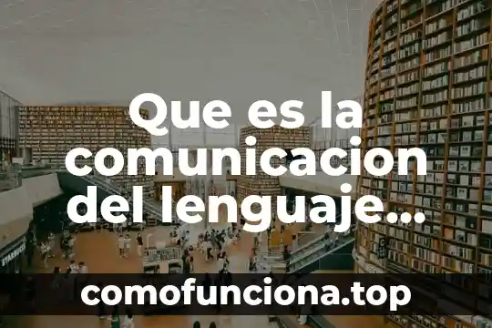 Qué es el tiempo verbal pretérito 4 Que es la comunicacion del lenguaje verbal y no verbal