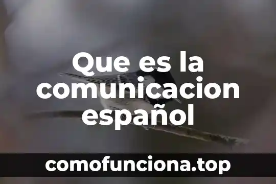 Que es el pensamiento en la comunicacion 3 Que es la comunicacion español