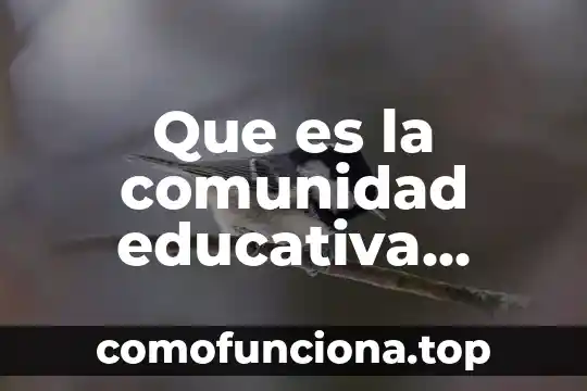 Qué es asistencia educativa definición 8 Que es la comunidad educativa redalyc