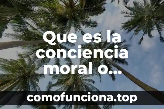 Que es un personal informatico 7 Que es la conciencia moral o personal