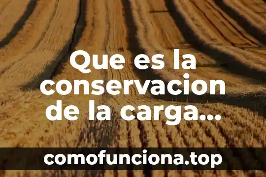 Qué es educación física definición larga 4 Que es la conservacion de la carga electrica en fisica