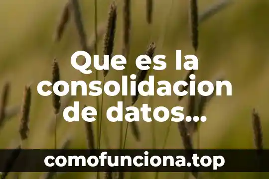 Número internacional normalizado del libro que es 6 Que es la consolidacion de datos geograficos en 3d