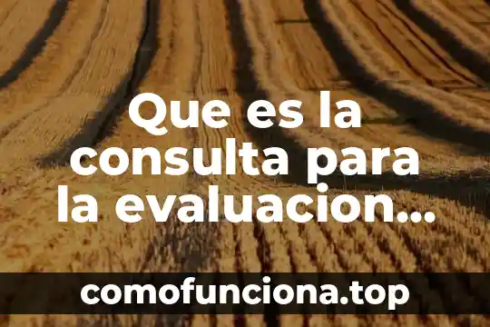 Qué es un software educativo de consulta 4 Que es la consulta para la evaluacion integral
