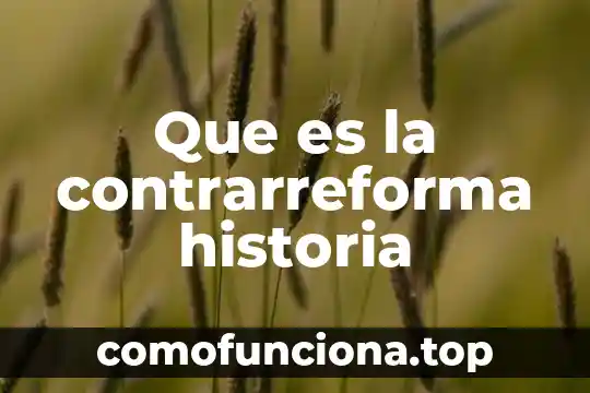 Que es la naturaleza de la historia del derecho 8 Que es la contrarreforma historia