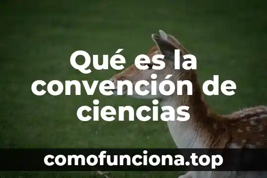 Que es la convención de los derechos de la niñez 8 Qué es la convención de ciencias