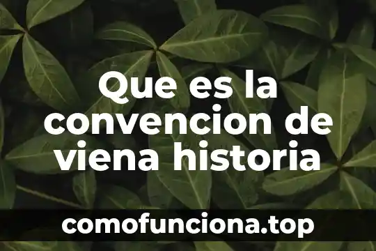 Que es la historia de maxico 5 Que es la convencion de viena historia