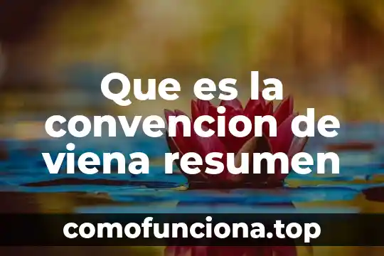 Que es la convención de los derechos de la niñez 4 Que es la convencion de viena resumen