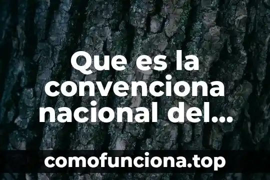 Significado de que es un problema a nivel nacional 8 Que es la convenciona nacional del turismo